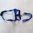 Pet Safe Gentle Halt Head Collar