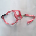 Pet Safe Gentle Halt Head Collar