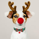 Christmas Dog Collar for dogs - __label:Bestseller, Bell, Christmas, Collar, Gift, Green, Holidays, Present, Red, Snow, Winter