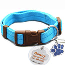 Buckle Collar with Custom ID Tag for dogs - Custom, Dog Tag, Engrave, Engraving, Name, Personal, Phone Number