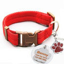 Buckle Collar with Custom ID Tag for dogs - Custom, Dog Tag, Engrave, Engraving, Name, Personal, Phone Number