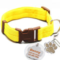 Buckle Collar with Custom ID Tag for dogs - Custom, Dog Tag, Engrave, Engraving, Name, Personal, Phone Number