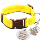 Buckle Collar with Custom ID Tag for dogs - Custom, Dog Tag, Engrave, Engraving, Name, Personal, Phone Number