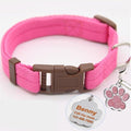 Buckle Collar with Custom ID Tag for dogs - Custom, Dog Tag, Engrave, Engraving, Name, Personal, Phone Number