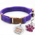 Buckle Collar with Custom ID Tag for dogs - Custom, Dog Tag, Engrave, Engraving, Name, Personal, Phone Number