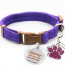 Buckle Collar with Custom ID Tag for dogs - Custom, Dog Tag, Engrave, Engraving, Name, Personal, Phone Number
