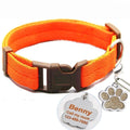 Buckle Collar with Custom ID Tag for dogs - Custom, Dog Tag, Engrave, Engraving, Name, Personal, Phone Number