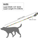 Groovy Leash