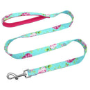 Groovy Leash