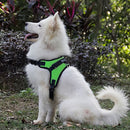Value Harness (No-Pull) for dogs - Adjustable, Harness, Leash, No Pull, Strap, Vest