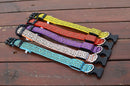 Leopard LED Glow Collar