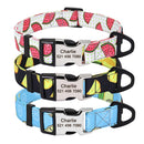 Fruit Passion Custom Personalized Collar