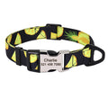 Fruit Passion Custom Personalized Collar