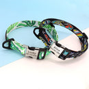 Fruit Passion Custom Personalized Collar