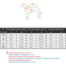 Super Galaxy Puff Jackets for dogs - Bubble, Coat, Dog, Jacket, Puff, Puppy, Snow, Winter