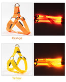 LED Glow in the Dark Harness (No-Pull) for dogs - __label2:HappyDog's Choice, __label:Bestseller, Adjustable, Blue, Collar, Easy On, Green, Harness, LED, Lights, No-Pull, Orange, Purple, Red, Safety, Step In, Yellow