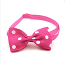 Beautiful Bow Ties for dogs - Bow, Bow Tie, Brazil, Collar, Country, Dots, Flags, Poland, Polka Dots, Tie, UK, Union Jack, US