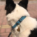 Everyday Reflective Collar