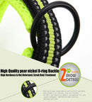 Everyday Reflective Collar