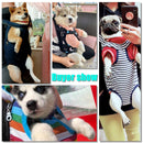 Breathable Mesh Backpack Carrier