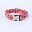 Designer Personalized Custom Collar