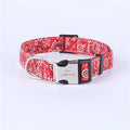 Designer Personalized Custom Collar