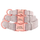 English Breakfast Custom Collar