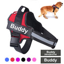 Personalized Harness - Custom Name & Phone Number (No Pull) for dogs - __label2:HappyDog's Choice, __label:Bestseller, Custom, Customizable, Customize Harness, Easy On, Engrave, Name, No-Pull, Personal, Personalized, Phone Number, Step In