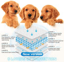 Disposable Training Pee Pads