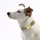 Polygonal Personalized Collar