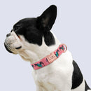 Polygonal Personalized Collar