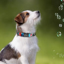 Polygonal Personalized Collar