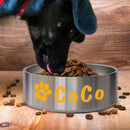 Personalized Custom Food & Water Bowl