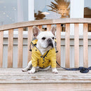 Classic Yellow Raincoat