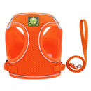 On-the-Go Harness (No-Pull)