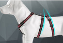 Extra Big Double Runner Harness (No-Pull)