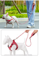 Floral Rope Leash w/ Handle