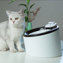 Automatic Water Fountain