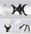 New Frontier Double Harness (No Pull)