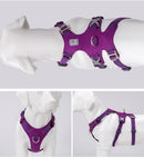 New Frontier Double Harness (No Pull)