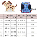 Floral Harness (No-Pull)