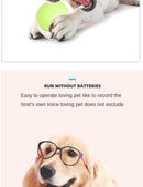 Recordable & Interactive Pet Communication Buttons