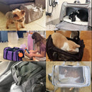 Breathable Travel Carrier
