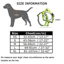 Neoprene Waterproof Padded Harness (No Pull)