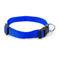 Value Collar for dogs - Collar, Strap