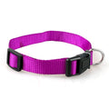 Value Collar for dogs - Collar, Strap