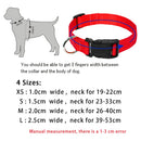 Value Collar for dogs - Collar, Strap
